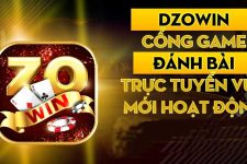 DZoWin – Cổng cược an toàn của mọi anh em cược thủ